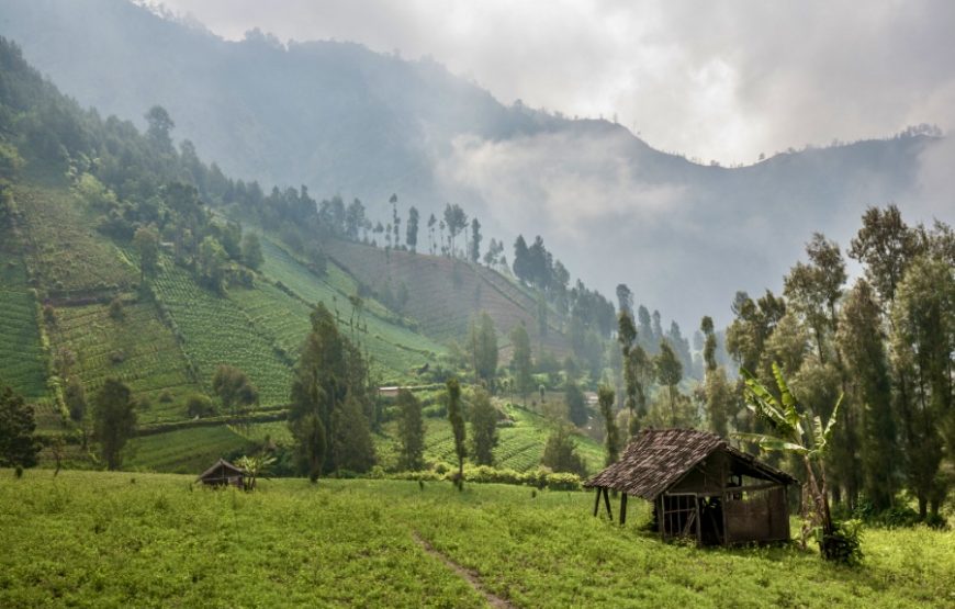 4 Days Bromo – Tumpak Sewu Waterfall – Ijen Crater (Private Tour)