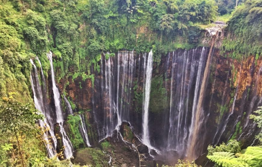 4 Days Bromo – Tumpak Sewu Waterfall – Ijen Crater (Private Tour)