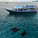 Aerial view of a traditional phinisi boat sailing over clear waters with manta rays swimming nearby in Komodo National Park
